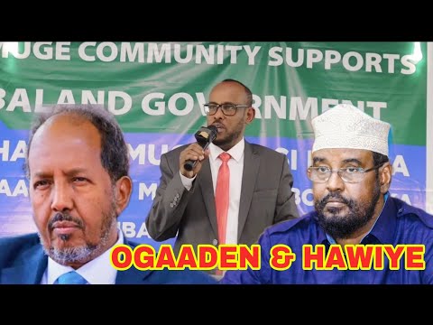 Beesha Hawiye Xasan Sheekh duulaanka uu wado lama qabaan" Xildhibaanka Tolomoge ee Jubaland