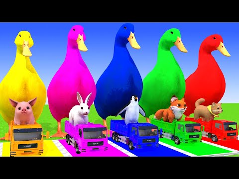 5 Giant Duck Cartoon, Cow, Elephant, Tiger, Dinosaur, Paint Wild Animals Crossing Fountain Animation