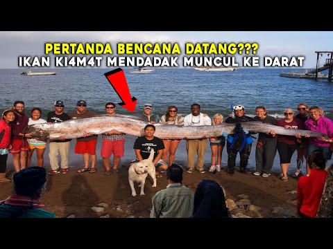 MENDADAK MUNCUL IKAN KIAMAT, MAKHLUK PEDALAMAN LAUT INI HEBOHKAN WARGA, PERTANDA BENCANA BESAR??