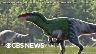 YouTube video thumbnail: Animation Depicts Newly-Discovered Dinosaur Species