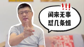 閒來無事 懟幾條蛆
