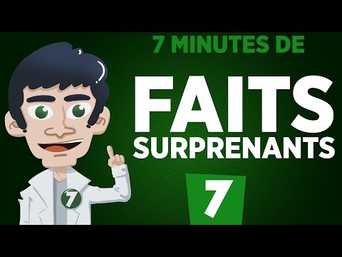 7 minutes de faits surprenants #7