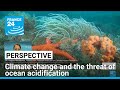 Ocean Acidification and Its Impacts