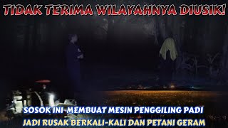 TEROR HANTU SAWAH - TAK TERIMA DENGAN PERBUATAN MANUSIA YANG SEMBRONO