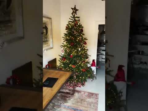 Árbol de Navidad puesto ♥️