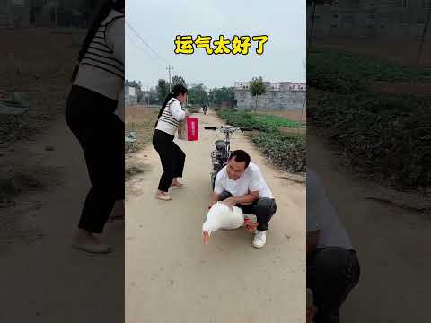 I'm so lucky today#funny#rural