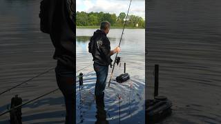 Angeln nur Posenangeln #fishing #pesca #outdoors #nature #fish #fishinglife #釣り#pesca #carp #vlog