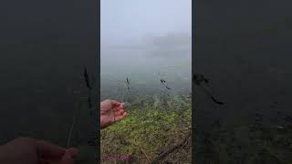 pesca con cordel