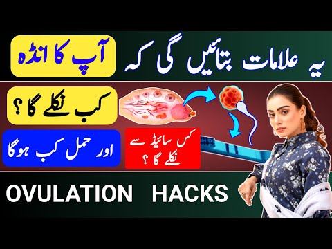 These Ovulation Symptoms Will Tell When Egg will Release & Pregnancy will Happen |Ovulation  Hacks