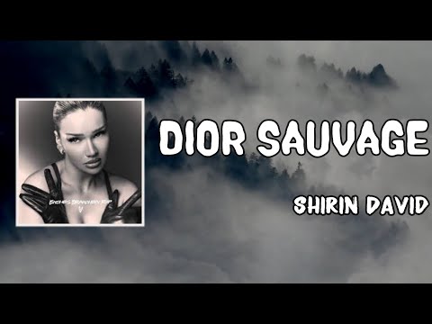 Dior Sauvage Lyrics - Shirin David