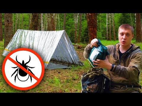 Как выжить  24 часа в лесу с КЛЕЩАМИ! Жесткий Российский ИРП
