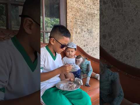 feeding beloved baby