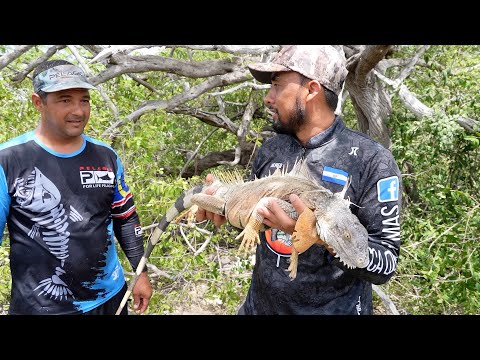 Cocinando En Una Isla En Puerto Rico