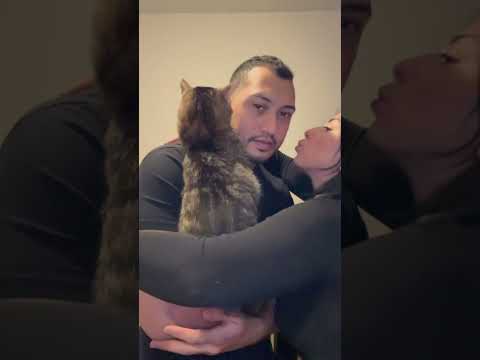 Cat robbed my man 😭😭