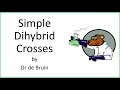 Dihybrid Cross and Genetic Concepts