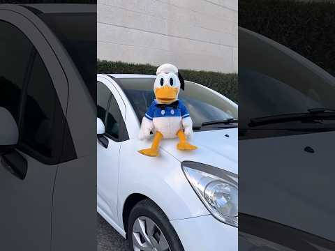 Ha vuelto la rubia del Bentley 👱♀️🚗🦆 @jetcarru