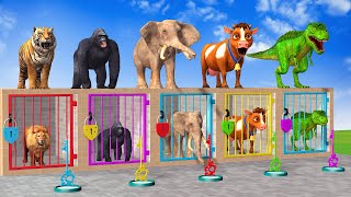 Long Slide Game With Cow Elephant Gorilla Hippopotamus Tiger - 3d Animal Game - Funny 3d Animals