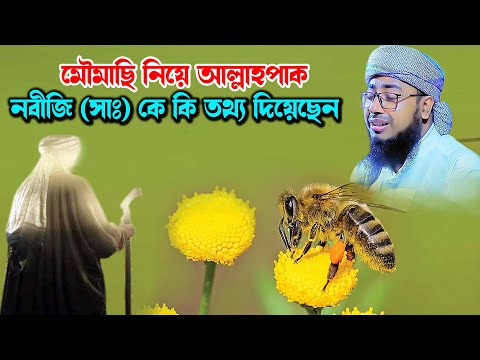 আল্লাহপাক মৌমাছির মাধ্যমে কি ম্যাসেজ দিয়েছেন। মুফতি জহিরুল ইসলাম ফরিদীMufti jahirul islam foridi waz