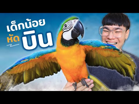 พาเด็กน้อยไปหัดบิน | ผมบินได้แล้ว!!