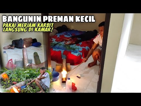Bangunin Preman Kecil Pakai Meriam Karbit!