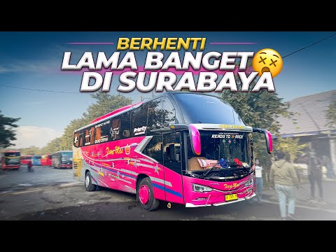 Ditinggal Bus Balik Garasi, 7 Jam Di Terminal Ngapain Aja?? Tiara Mas Jakarta Bima #3 