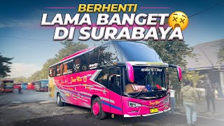 Ditinggal Bus Balik Garasi, 7 Jam Di Terminal Ngapain Aja?? Tiara Mas Jakarta Bima #3 