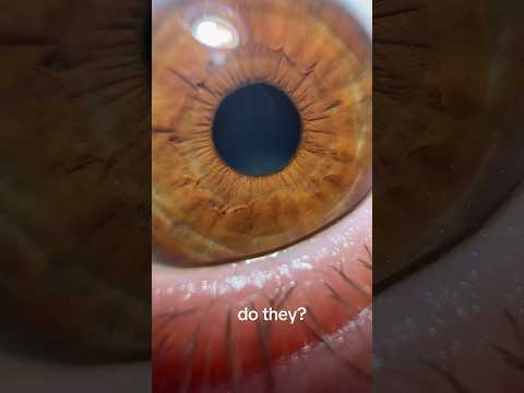 Green in my Eyes👁️👁️
