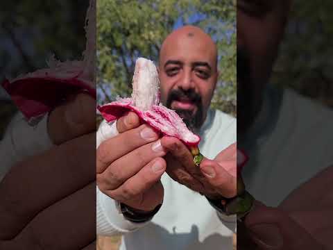 فاكهة بتحفظ البروده 😎  #فيجو #ملك_الفاكهة