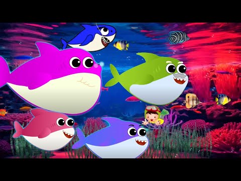 Underwater Fun With Baby Shark Song Doo Doo Doo | Kids Song | IWC