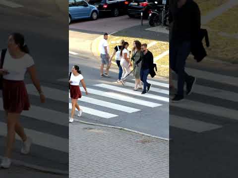 Transparenter Hund macht morgens überall sein Geschäft #prank