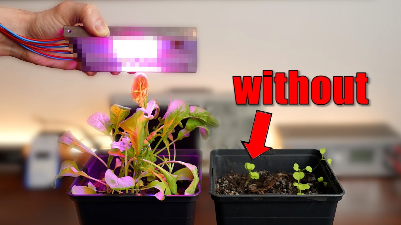 Magical LEDs let my plants grow faster? (Experiment) The Future of Farming!
