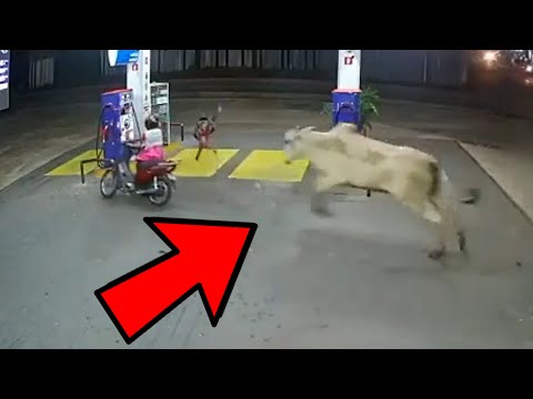 Funny Moments Caught On Camera ( Part 8 ) 😀😂 #shorts I Hindi Countdown I Hindi Vibes