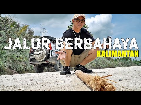 MELINTASI TANAH EKSTREM KALIMANTAN ! Jalur Hutan Akasia & Tambang yang Bikin Tegang