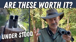Are These the Best Hunting Binoculars Under $1,000