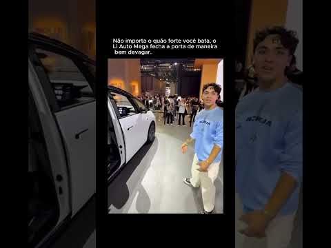 Li Auto Mega