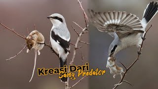 Menakjubkan! Karya Seni Unik Dari Sang Predator
