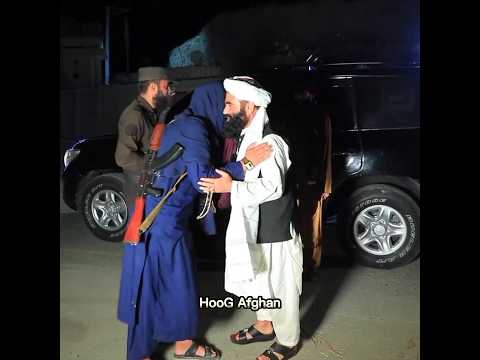Taliban Works for Their People Day and Night #shorts #taliban #viral