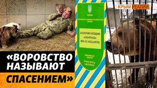 Погибшие и похищенные животные с оккупированных территорий Украины | Крым.Реалии ТВ