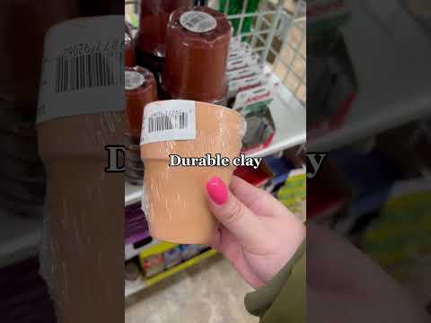 Dollar Tree finds ???✨?#dollartree #dollartreefinds #boujeeonabudget #buythisnotthat