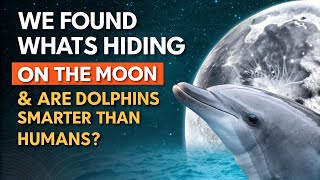 We Found What's Hiding on the Moon & Are Dolphins Smarter Than Humans?