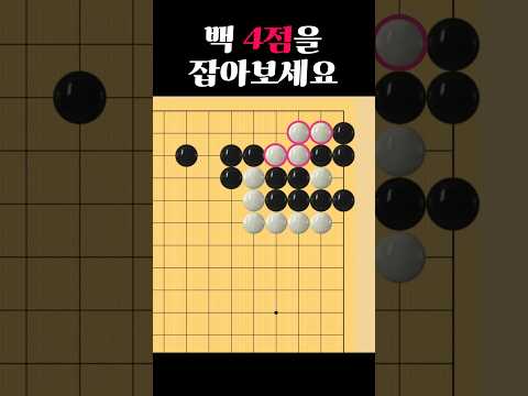 쉬운 바둑 사활 - 백을 잡아보세요