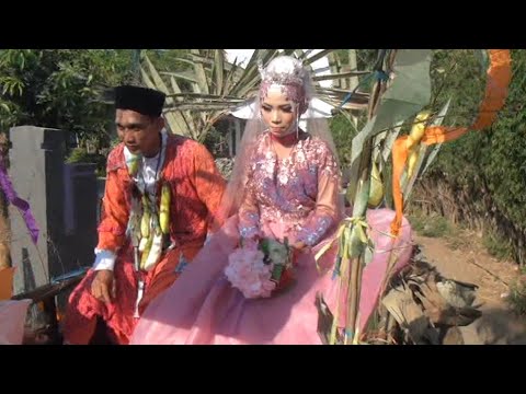 Ribuan Warga Masyarakat Menyambut Kedatangan Pengantin Baru