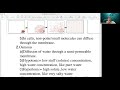 Cellular Transport and Water Potential Insights