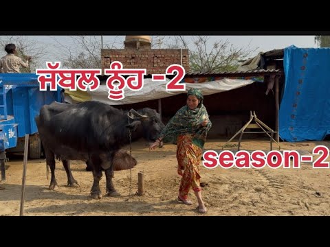 ਜੱਬਲ ਨੂੰਹ -2season-2||#punjabishortstory2025#viralvideo #comedy #trending #funny #love ​⁠@Guribebe