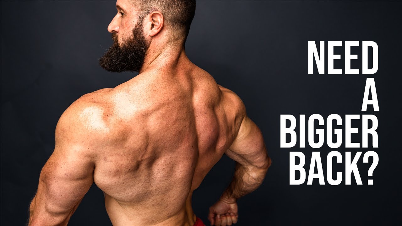 Best Back Exercises Ranked (TOP 7 FOR BUILDING MUSCLE)