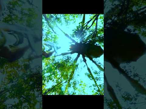 The big mutant spider scene from Deep sea mutant snake #shorts #reels #mutant #spider