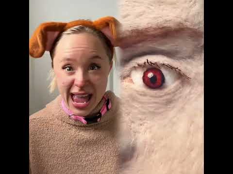 If pets could talk #viralvideo #funny #foryou #fyp #pov