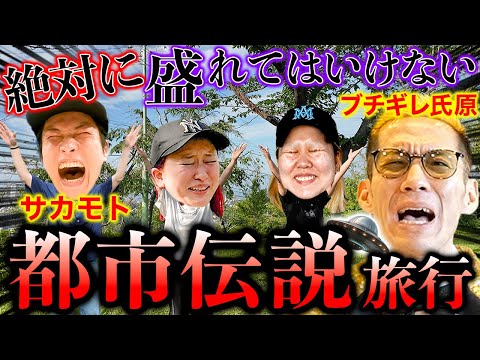 【衝撃映像】UFO呼んだら宇宙人に遭遇...【GGチャンネル】