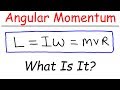 Angular Momentum and Linear Momentum Concepts
