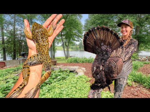 Epic Frog Hunt with a .22 Rifle! Wild Turkey Hunt & Cooking Frog Legs + Tenders!